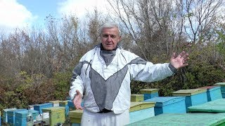 УЛЕЙ ЛЕЖАК В ЗИМУ. Пчелы начинающим.