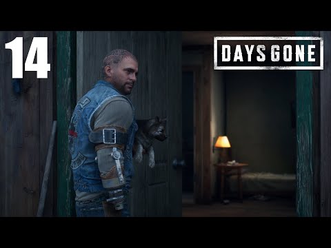 Видео: Days Gone. Первое прохождение [№ 14]