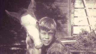 The Galloping Gamows