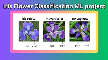 Iris Flowers Classification Machine Learning Project (Python)