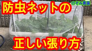 【防虫ネット】虫が寄ってこない防虫ネットの正しい張り方を解説します。