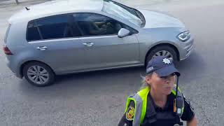 картинка: Тупорылые муора на Запоржском посту