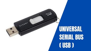 Universal Serial Bus  ( USB )