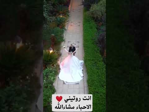 اطلالت عروس بجد تهبل زفة يا حلالي