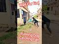 Running Dog Catching Fail #dogwithpublicsafety #dog #pets #ytviral #shorts #rescue #ytshorts