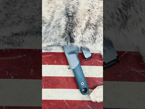 Driver Defense - Splinter.    