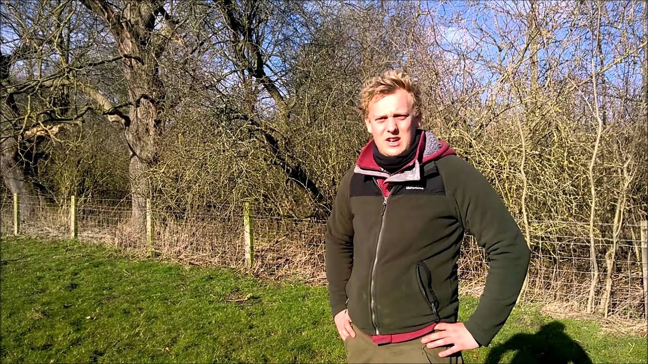 squirrel trapping www.agripestmanagement.co.uk