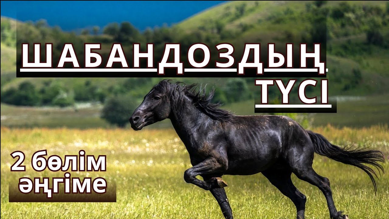 ШАБАНДОЗДЫҢ ТҮСІ / Қойлыбай Асанұлы #аудиокітап #әңгіме #болғаноқиға 