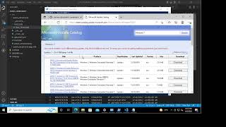 Patch Compliance Tool (CSC 842)