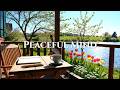 APRIL 2026 🌿 Ultimate Relaxing Guitar Music | Peaceful Acoustic Guitar for Deep Focus & Calm Mind