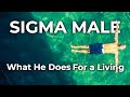 Sigma Male | What He Does For a Living