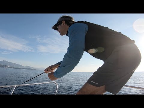 Vidéo: Caractéristiques Des Pêcheurs De Novembre - Inconstance De Novembre