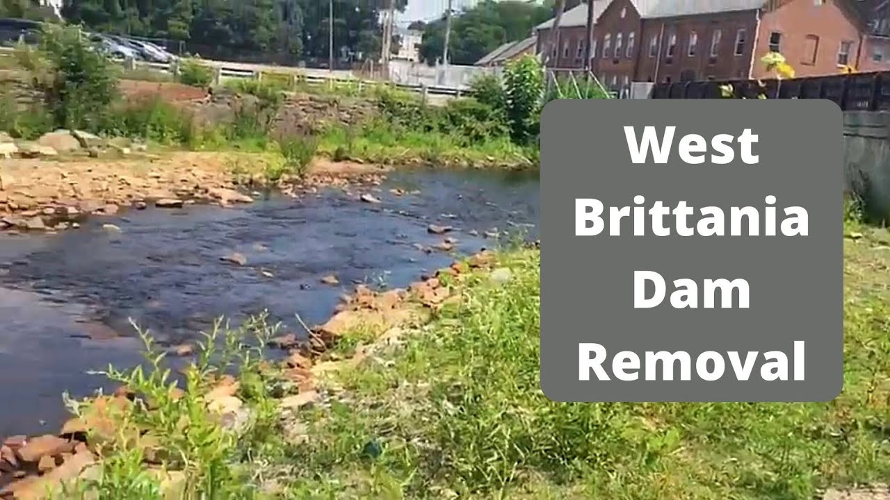 6 Months After West Britannia Dam Removal, Taunton, Mass YouTube
