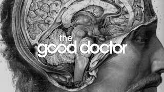 The good doctor theme song original with download link