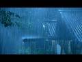 (No Ads) Tropical Thunderstorm & Rain Sounds | Relaxing Sleep Ambience with Rumbling Storm