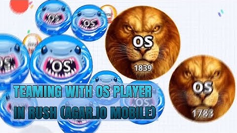 AGAR.IO MOBILE - TEAM WITH OS PLAYER IN RUSH MODE | SST PLAYz