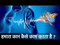 हमारे कान के अन्दर क्या चल रहा है ? जानकर आप रह जायेंगे हैरान. How Human Ear Works Hindi