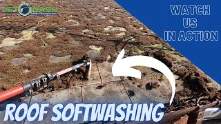 Roof Cleaning [ MOSS REMOVAL & SOFT WASHING TREATMENT ] screenshot 4