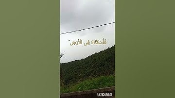 قران كريم بصوت كأنه من السماء اجمل صوت  أرح سمعك وقلبك راحه نفسيه#quran #quranhearts