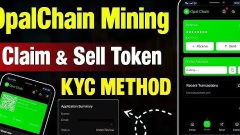 Opal Chain KYC Update | Opal chain KYC Rejected Problem Solve ✅ | Opal Chain KYC Kaise Kare