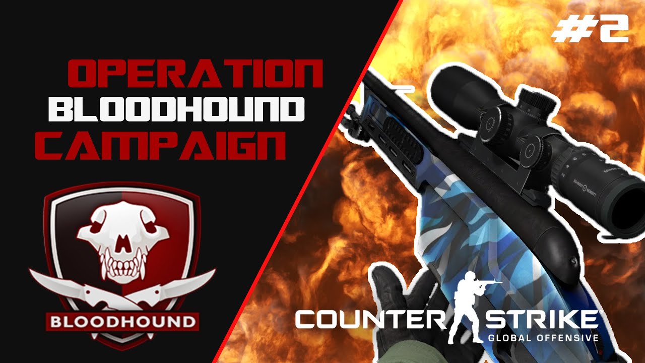 CS:GO - Bloodhound Marksman Campaign #2 (Counter-Strike: Global ...