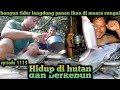 bangun tidur langsung panen ikan di muara rawa toman warta petani muda hidup di hutan