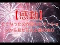 【1分間の感動する話】亡くなった父が遺したマンションから見た花火と僕の決心【家族】