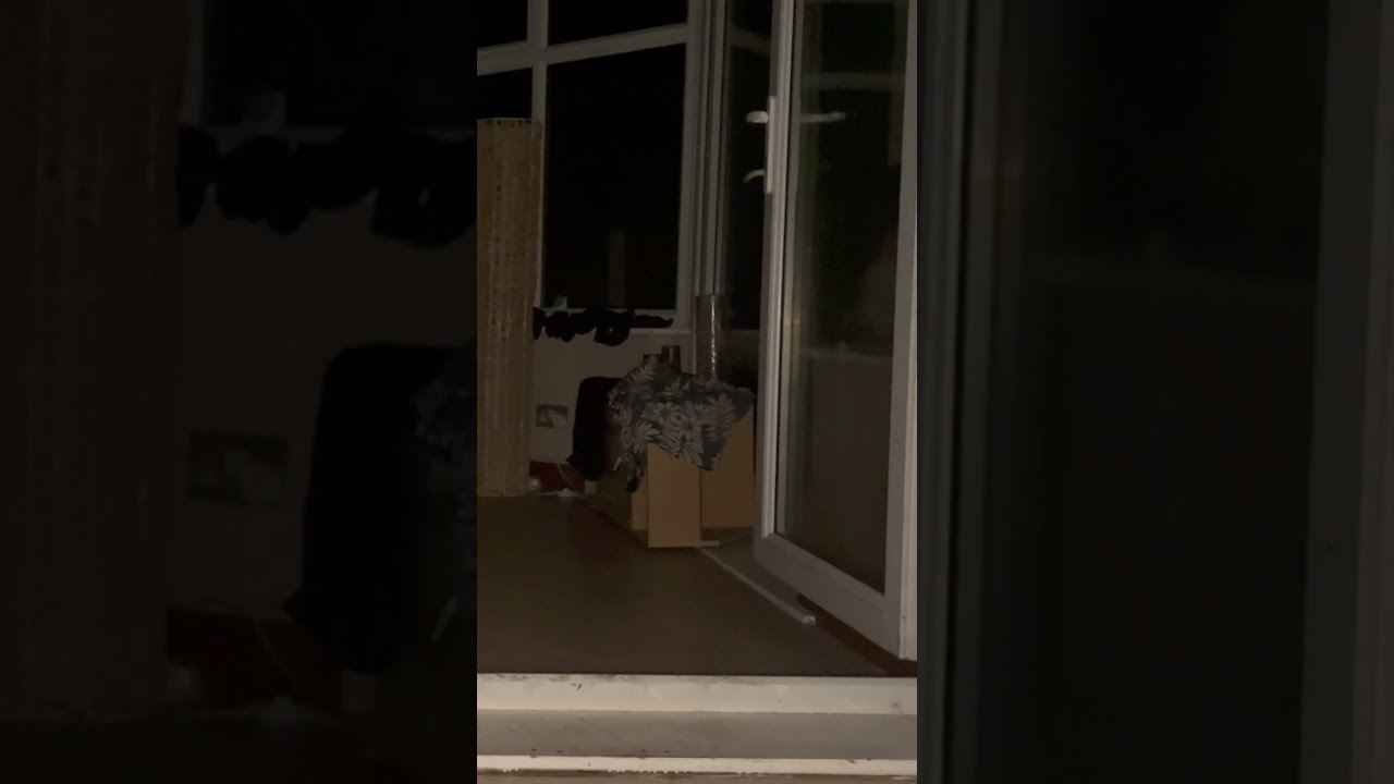 A REAL DEMON CAUGHT ON CAMERA RAW