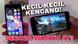 Udah Turun Jadi 1 Jutaan iPhone SE 2020 Worth it dibeli? Test Game PUBG Mobile di 2025 screenshot 3