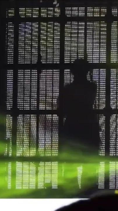 Ado, Elf live [エルフ], Amsterdam, Hibana world tour #ado #adolive #adomination #elf #エルフ #hibana