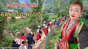 ĐỘC LẠ ĐÁM CƯỚI NGƯỜI DAO ĐỎ, ĐOÀN NHÀ GÁI ĐI ĐƯA DÂU GẦN 100 NGƯỜI