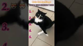 #interesting #foryou #funny #cat #funnyvideo #fyp #comedy #mischief Funny Cat Compilation.Hahahaha
