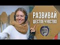 Как развить Точность, Скорость и Шестое Чувство | Центр личной безопасности в Запорожье [+ENG SUB]