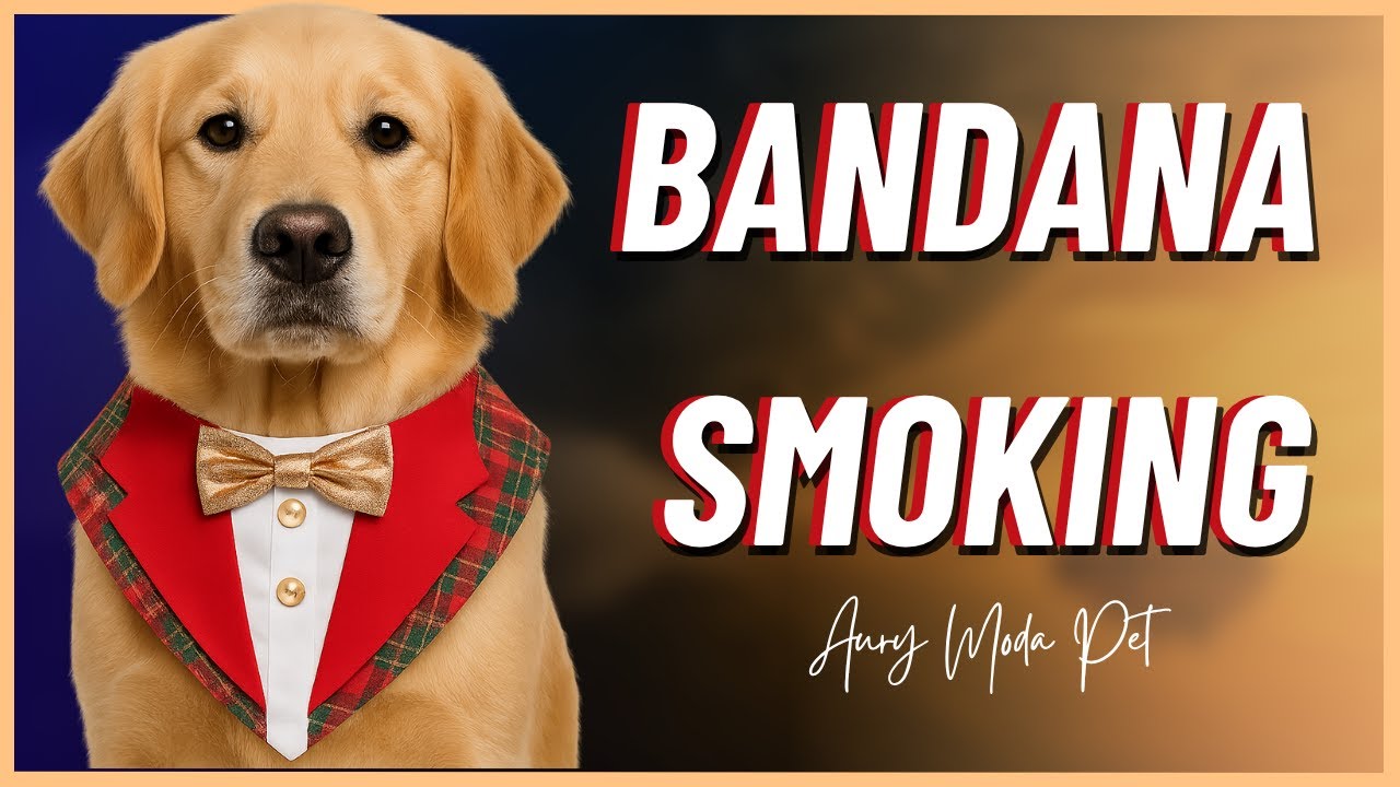 Bandana de Natal Estilo Smoking para Pets (Fácil, Rápida e Elegante!)