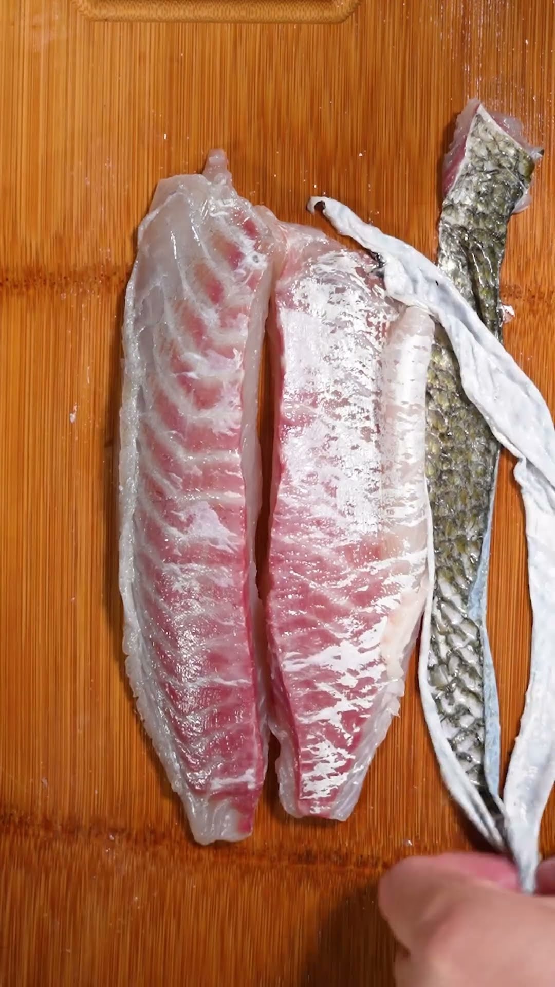 クロダイのお腹から・・・