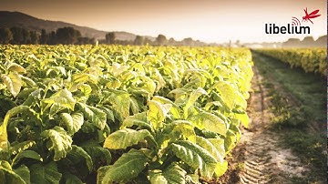 Webinar: Smart Agriculture - Libelium