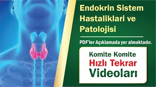 24 Endokrin Sistem Hastaliklari Ve Patolojisi- Hızlı Tekrar