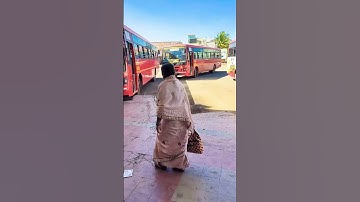 Msrtc New 2 Eicher bs6 bus in line with vethai #bus_shorts #msrtcbus #lalpari #status #2023 #Shorts