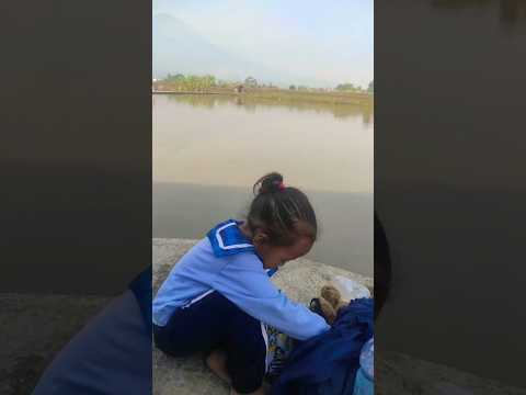piknik di tengah sawah air
