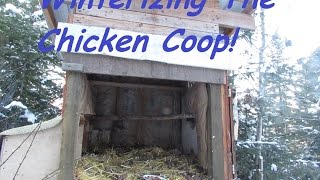 chicken winterizing winter coop