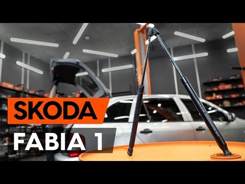Frankberg 2x Gas Struts For Skoda Fabia Tailgate - Compatible 6Y2 Hatchback & 6Y5 Estate 1999-2007