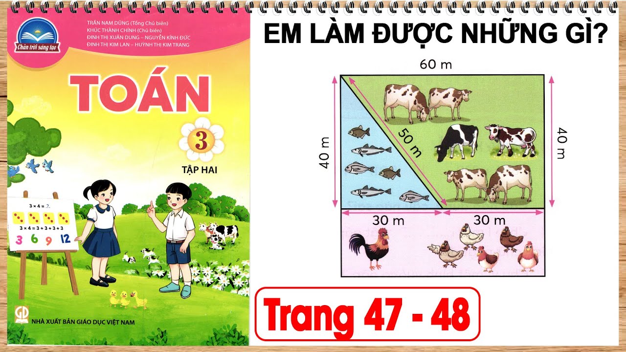 Toán 3 chân trời sáng tạo tập 2 trang 47 | Em làm được những gì