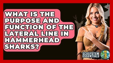 What Is The Purpose And Function Of The Lateral Line In Hammerhead Sharks? - Ecosystem Essentials
