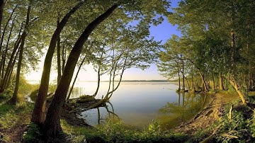 How to Upload MULTIPLE Videos to YouTube and Schedule | YouTube Studio 2021