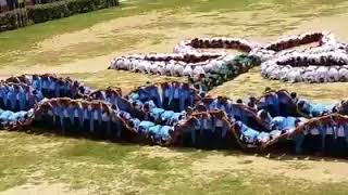 Independence Day Celebration at coachwell ideas screenshot 3