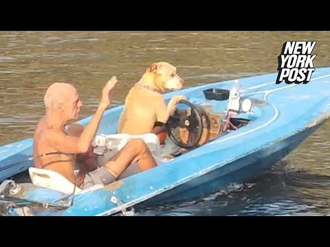 WATCH: Dog driving a boat is this Florida man’s designated driver