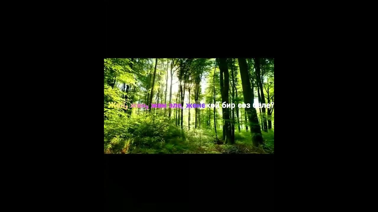 гулжигит сатыбеков 8 март скачать