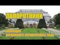 Коллекция папоротников Берлинского ботанического сада