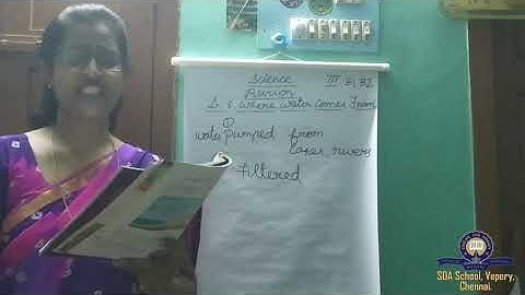 Class 3/ICSE/Science/Lesson  5/Revision/Session 15