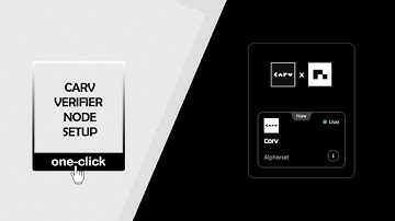 Delegate Your CARV Verifier Nodes with NodeOps | Stress-Free Setup!